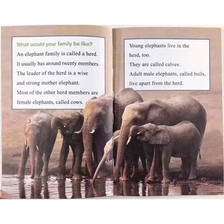 [Freeship]Bộ Nhập - I can read 1+2 (Full 14c)