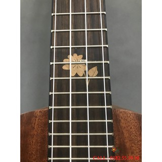 ĐÀN UKULELE CONCERT 23INCH MT23