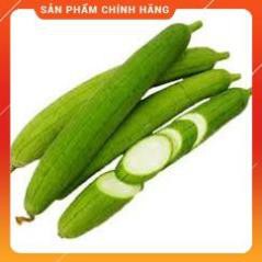 HẠT GIỐNG MƯỚP HƯƠNG 7 LÀ F1 GÓI 5 GRAM