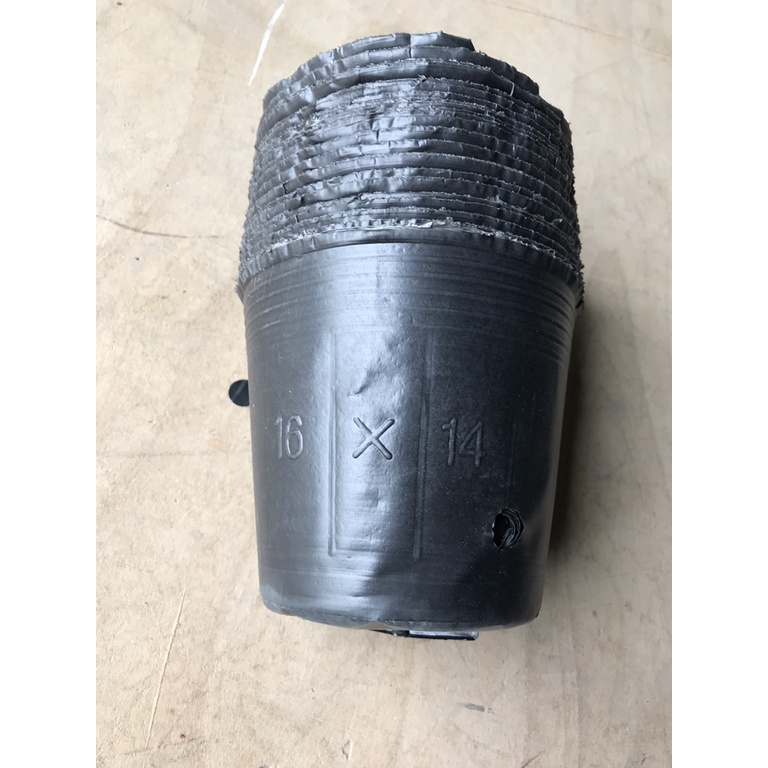 1kg bầu ươm cây full size, bầu trồng cây đủ kích cỡ
