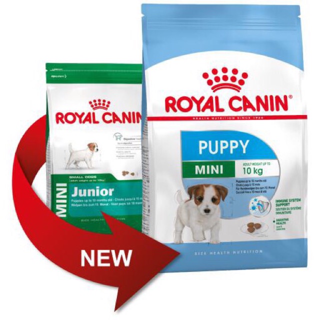 THỨC ĂN CHÓ ROYAL CANIN MINI JUNIOR 800G