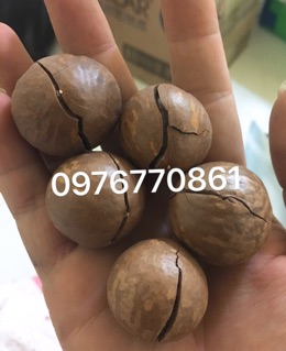Quả macca Lai Châu ( 1Kg )