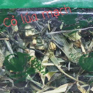 Cỏ lúa Mạch, lúa Mì Kerry cắt khúc Thơm Ngon cho Thỏ, Bọ, Chinchilla