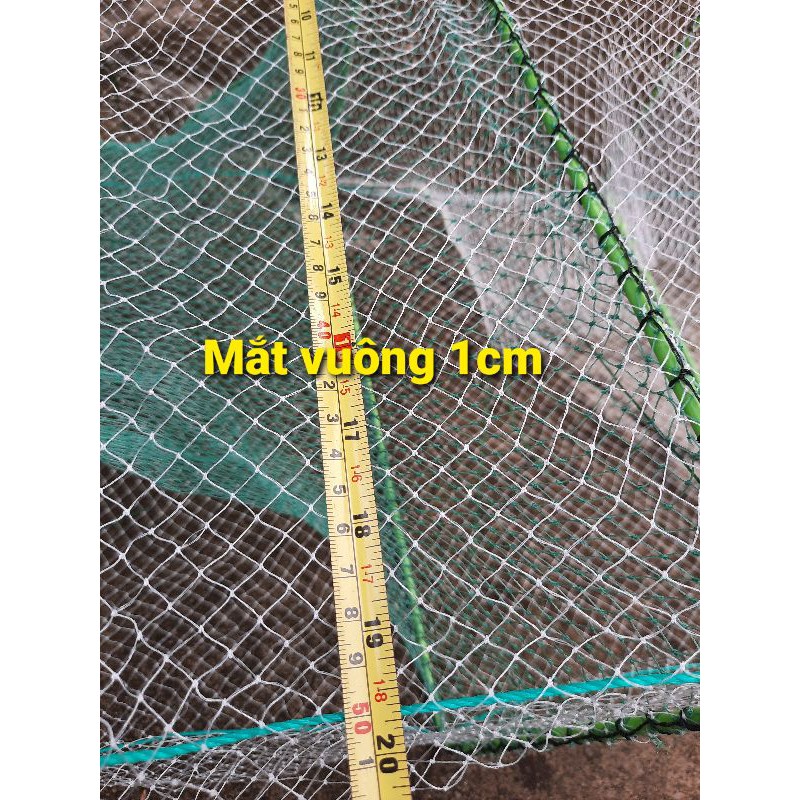 Bát quái khung - nhập khẩu israel