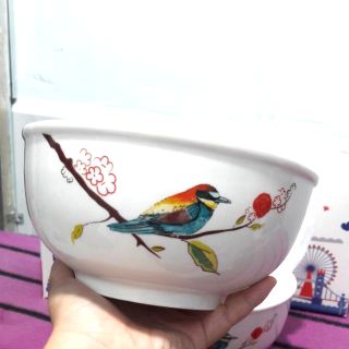 Bộ 2 tô sứ sâu lồng họa tiết chim và cành hoa