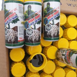 Kích rễ cho cây giâm cành chiết cành cây mới trồng