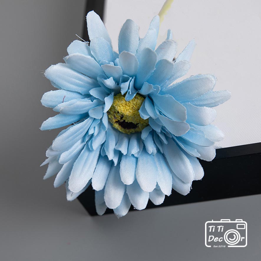 Hoa Đồng Tiền TiTi Decor Loại To, Hoa Lụa Cắm Hoa Trang Trí Nhà Cửa
