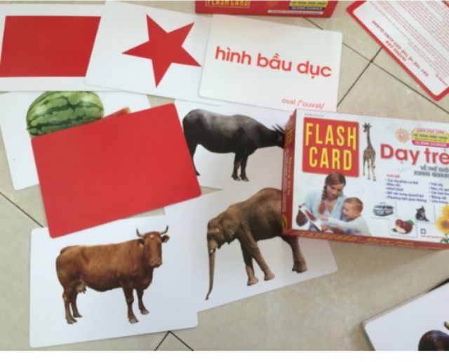 Sách Flash card English for Kid - Thế Giới Xung Quanh Dạy trẻ theo phương pháp Glenn Doman