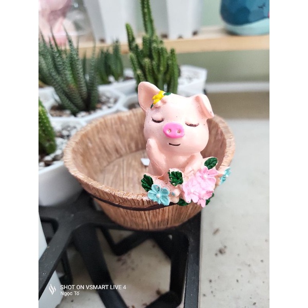 Chậu trồng cây hình chú heo, thỏ
