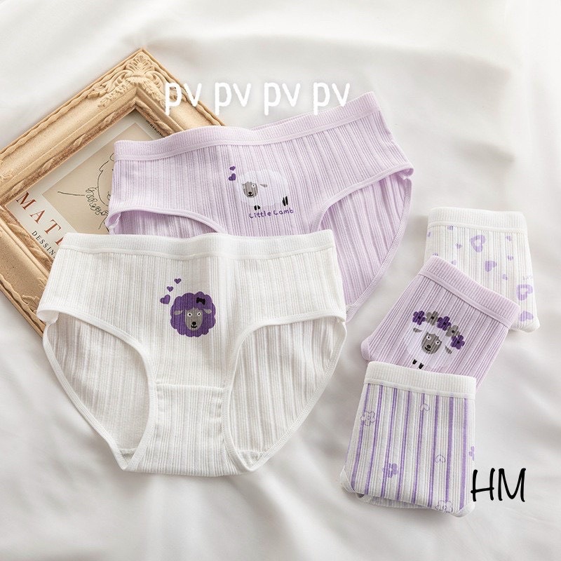 Set 5 Quần Chip Siêu Dễ Thương