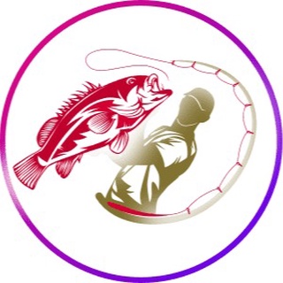 Đồ câu Ngốc Lão - Tốt và Rẻ 😇