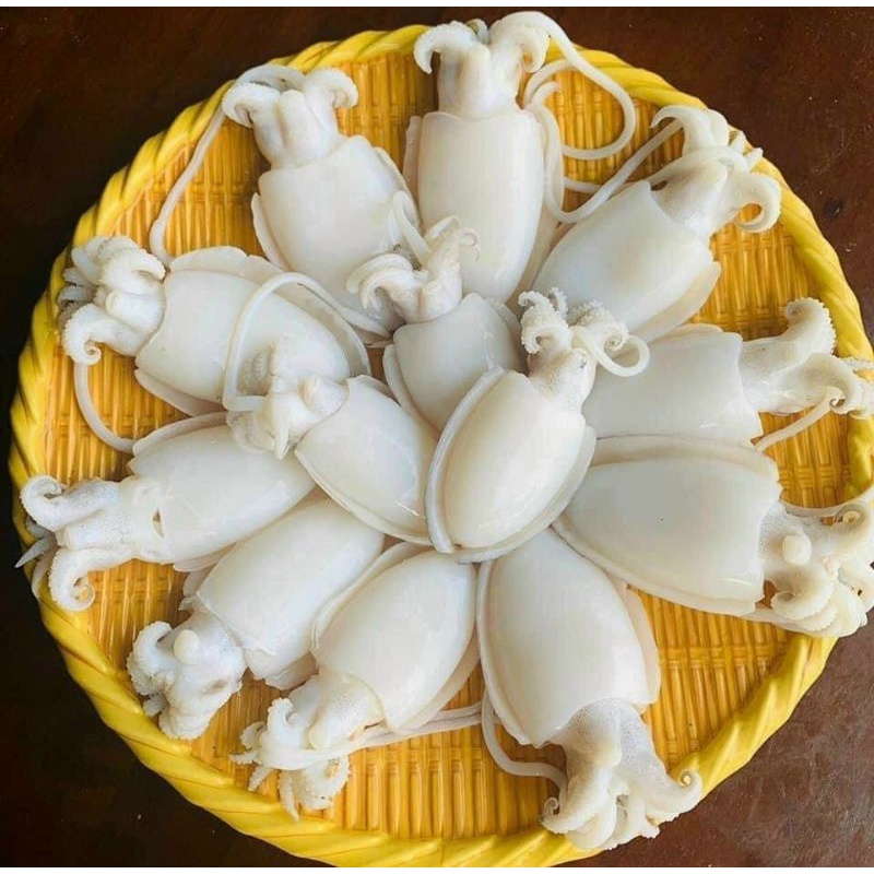 175k 1kg mực nang baby