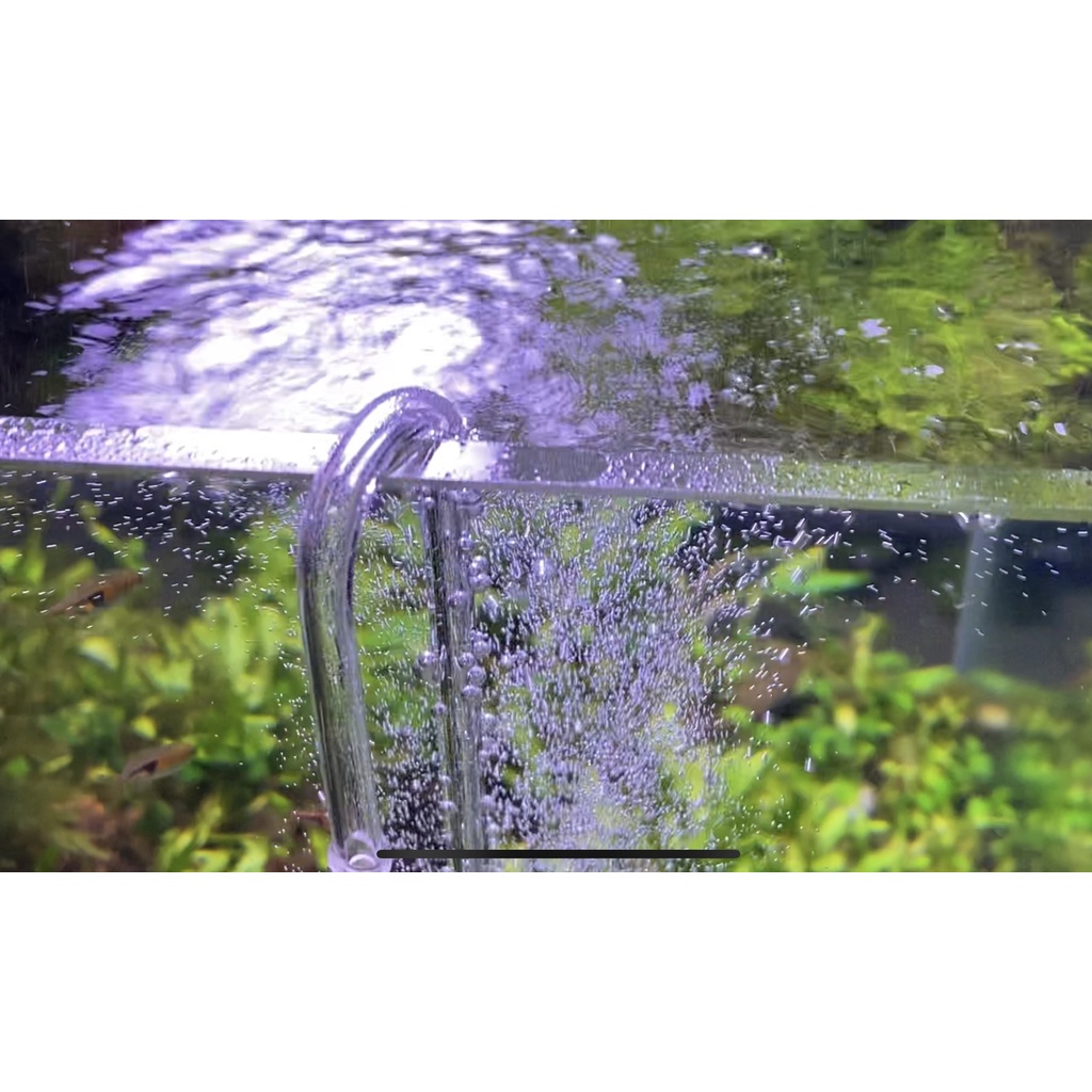 Đầu Sủi Oxy Siêu mịn treo thành bể A30-29, A40-29