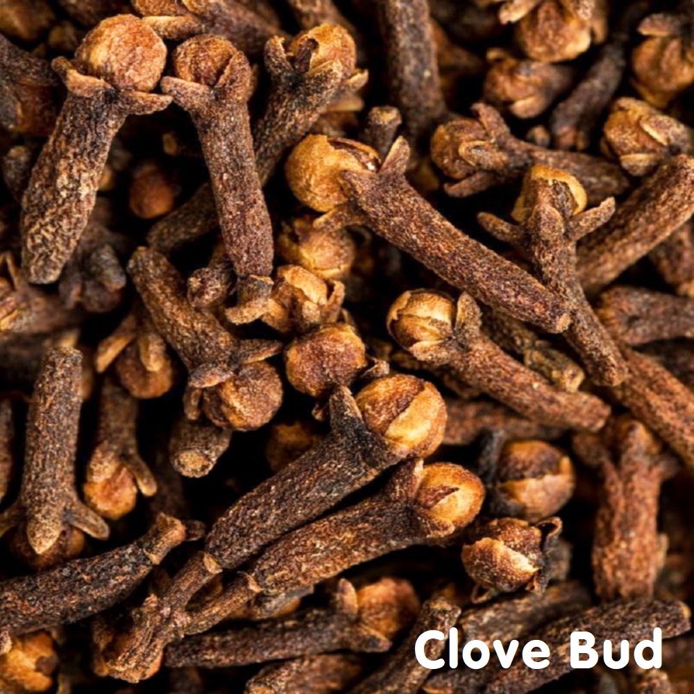Tinh dầu nụ Đinh hương Clove Bud Essential Oil