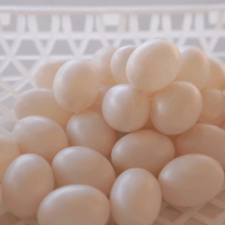 Combo 10 Trứng chim bồ câu giả