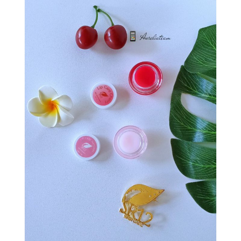 (Hàng Mới Về) Son Dưỡng Ẩm Môi Tự Nhiên Sr12 | BigBuy360 - bigbuy360.vn