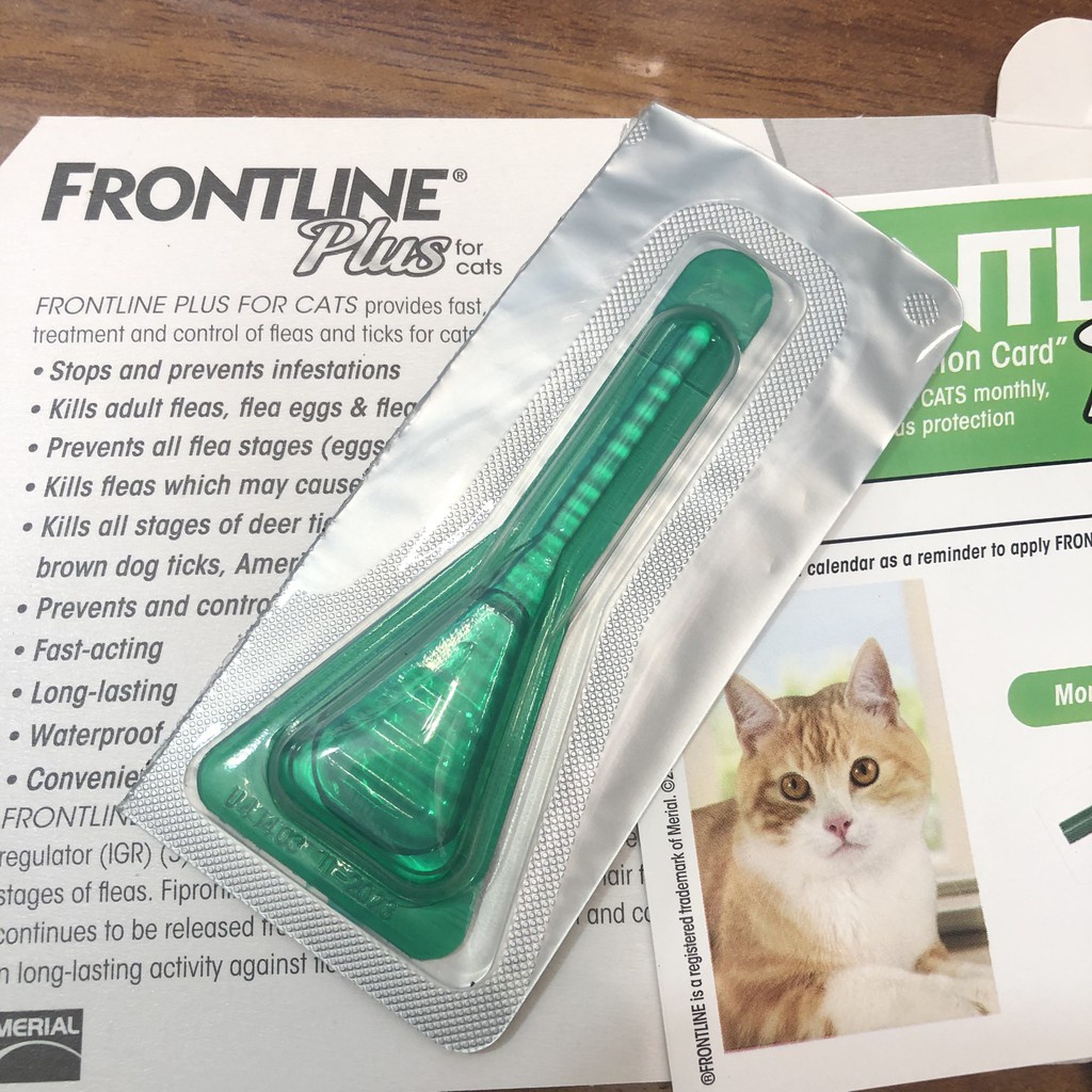 Nhỏ gáy mèo ve rận, bọ chét Frontline Plus - LUTPET