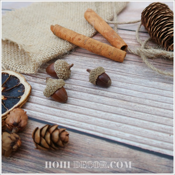 Set Hạt Khô Đủ Loại Chụp Ảnh Vintage - Shop Hohi Decor