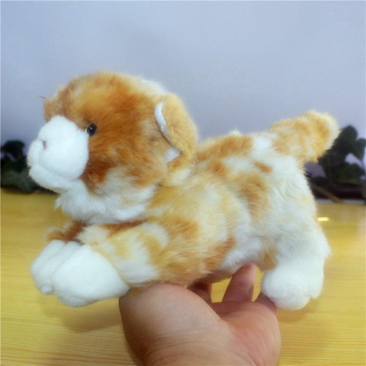 cat plush toy