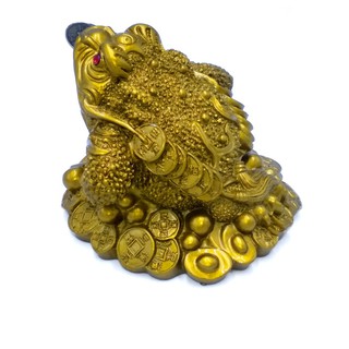 Cóc vàng mạ đồng 7 cm