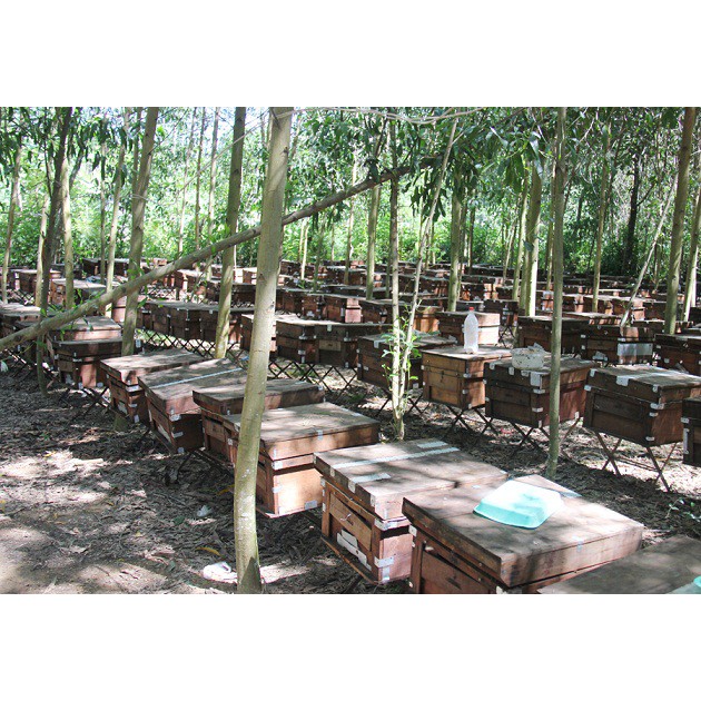 Mật ong hoa rừng 110g | BigBuy360 - bigbuy360.vn