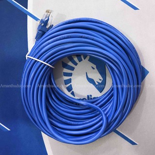Cáp mạng (Lan) 15 mét đúc sẵn 2 đầu (xanh)