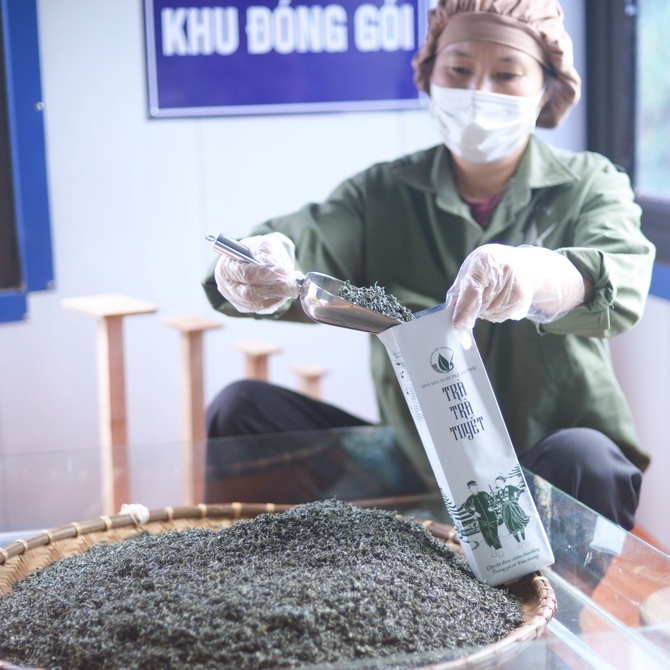 Trà cành tuyết An Thái tiêu chuẩn VietGap thơm ngon đặc biệt - Chè búp Thái Nguyên hút chân không gói 200g - Trà Bắc | BigBuy360 - bigbuy360.vn