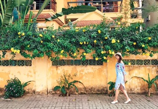 Pass váy hoạ tiết 250k