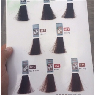 Thuốc nhuộm tóc Bigen speedy( Phủ bạc 100%)
