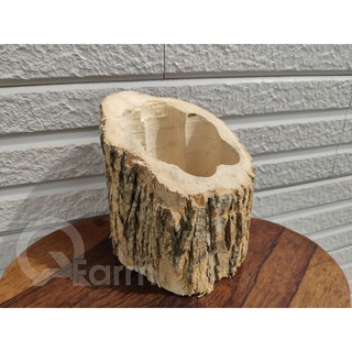 Chậu gỗ trồng cây - kiểu vát xéo