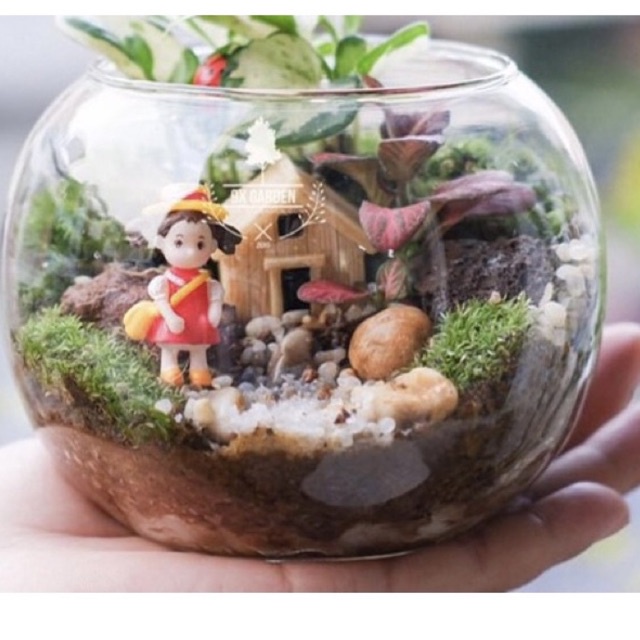 Bể thủy tinh nuôi cá, chậu trồng cây thủy sinh 12cm x12cm