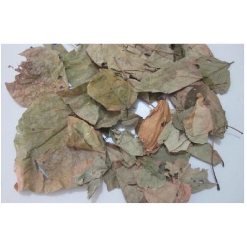 Lá vông nem mất ngủ 1 kg