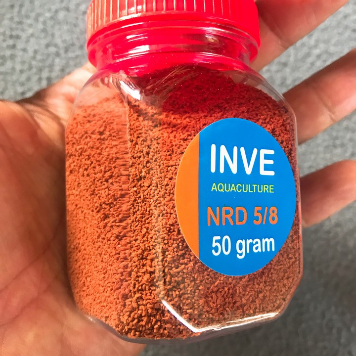 Cám Thái Inve 5/8, 1 Hủ 50g, Thức Ăn Cá Cảnh, Cám Cá Con, Cá 7 Màu, Betta, cá thủy sinh Mau Ăn Chóng Lớn, Dinh Dưỡng Cao