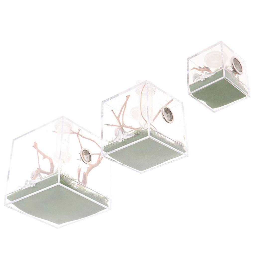 1 Bộ Hộp Nuôi Kiến Trong Suốt Bằng Nhựa Acrylic