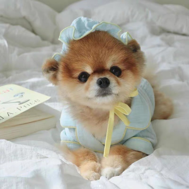 Áo ngủ kèm bịt mắt dành cho thú cưng