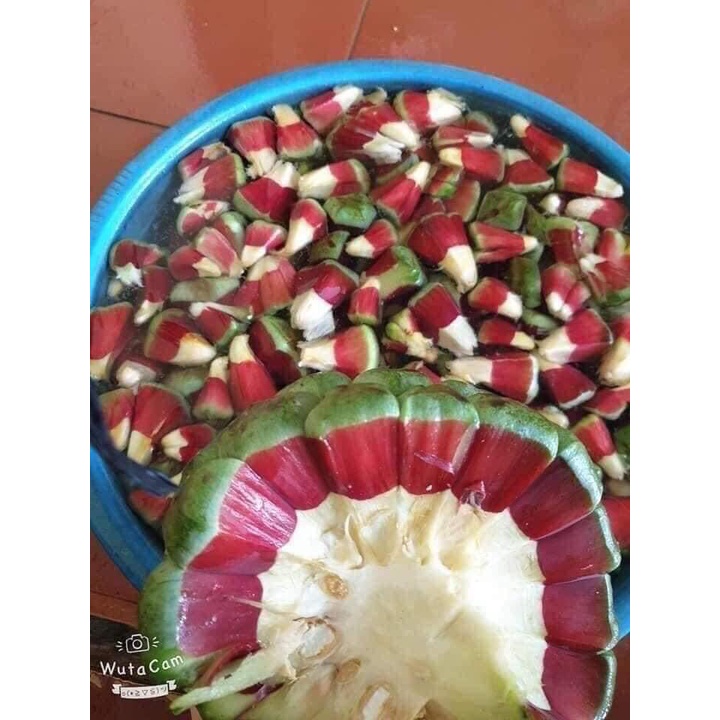 Quả Na Rừng Tây Bắc  99k/1Kg