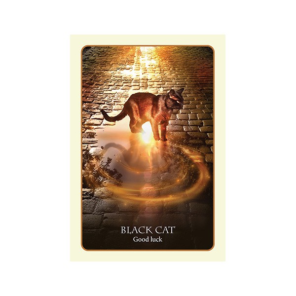 Bộ Bài Divination of the Ancients Oracle Cards (Mystic House Tarot Shop)