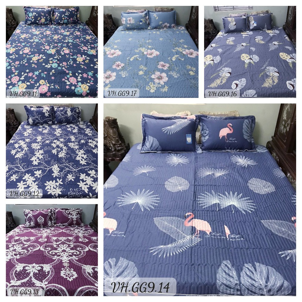 Set ga gối cotton HQ ga trần bông