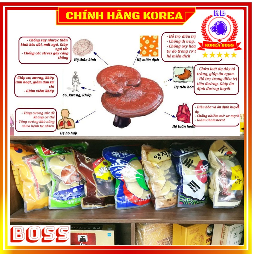 Nấm linh chi hàn quốc hộp quà thượng hạng - Nấm vàng chanh 1kg - tranglinhkorea