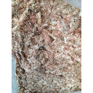 Dớn con sâu Chi lê gói 100gr