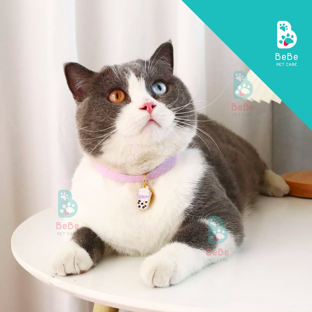 [Siêu Xinh] Vòng Cổ Hoạ Tiết Đáng Yêu Kèm Mặt Đá &amp; Chuông Cho Thú Cưng