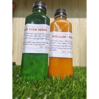 Mồi trắm trắng-mồi đen chép-hiệu quả cao