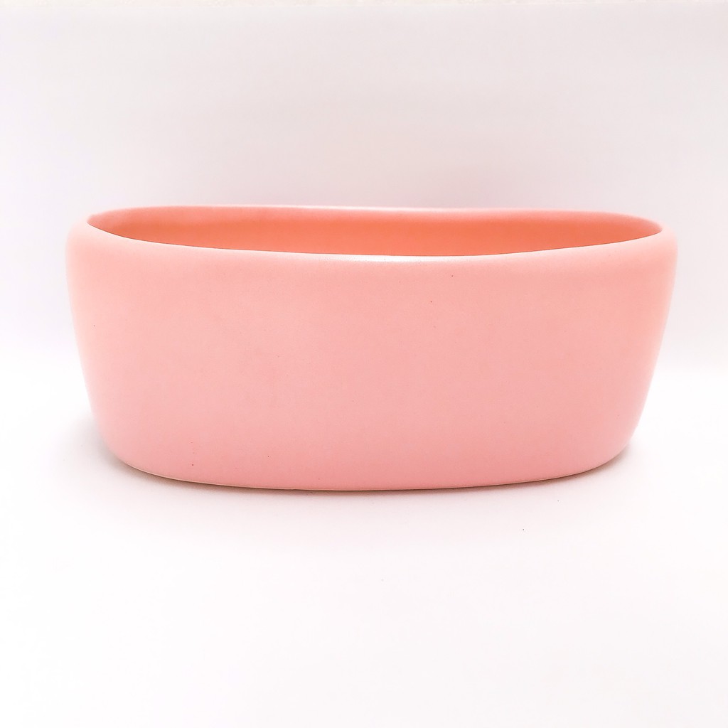 CHẬU ANG DÀI TRỒNG MIX SEN ĐÁ XƯƠNG RỒNG