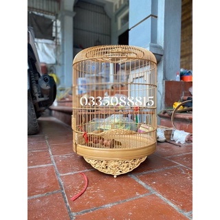 Lồng Chim Choè Lửa, Choè Than, Chào Mào hàng 64- 68cm