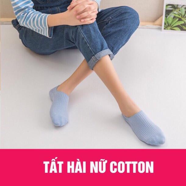 [Giá sỉ] Set 5 - 10 Đôi Tất Hài Nữ Cotton Gân Tăm Mềm Mịn