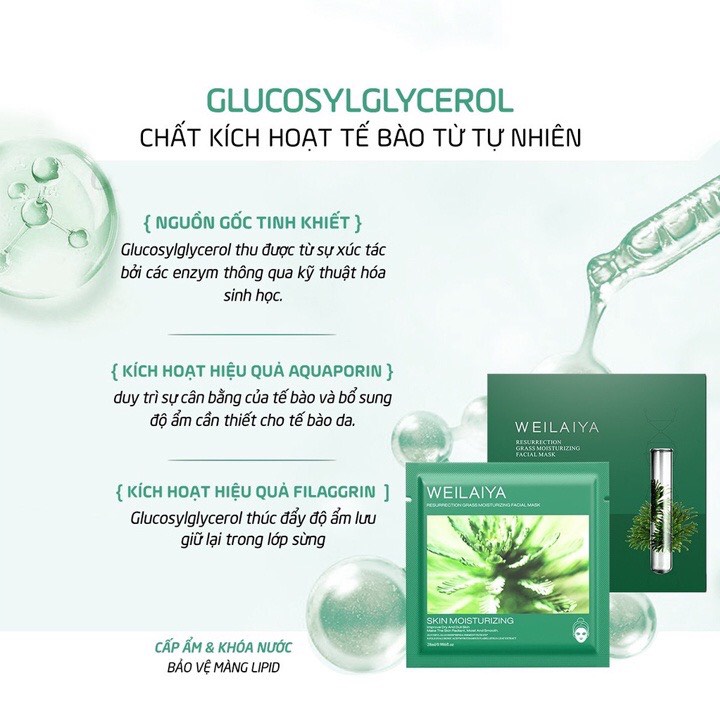 Mặt Nạ Trắng Da Hồng Vạn Cánh WEILAIYA, Dưỡng Trắng, Phục Hồi, Chống Lão Hóa Da - Hộp 10 miếng