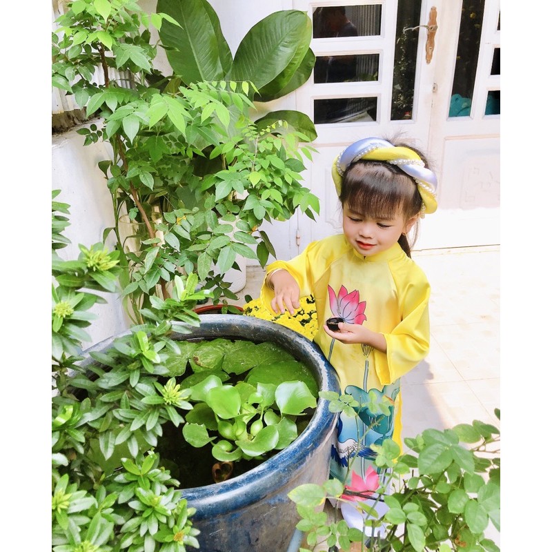 Sét Áo Dài Sen Chim Hạc