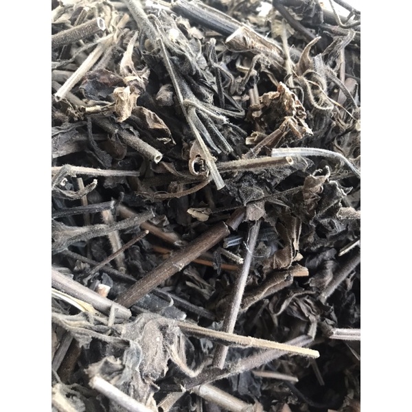 1kg cây nhân trần khô