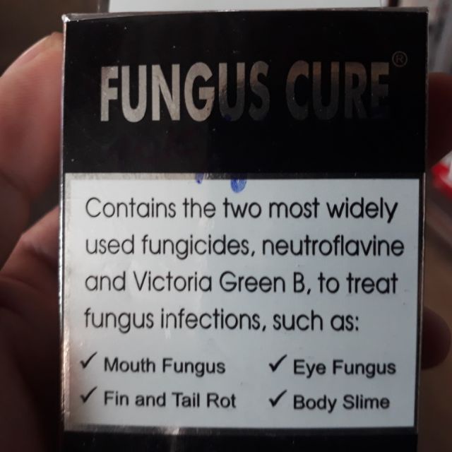 Fungus cure - xử lý nhiễm khuẩn nấm đục mắt thối rữa vây và đuôi