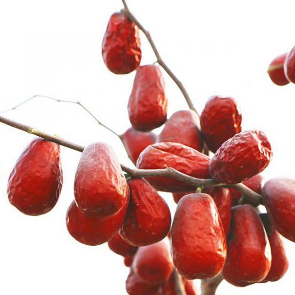 Táo Đỏ Tân Cương 500g Size Đại Sấy Giòn, Táo Tân Cương Chính Hãng Đặc Sản Đại Bổ Thịt Dày, Hạt Nhỏ
